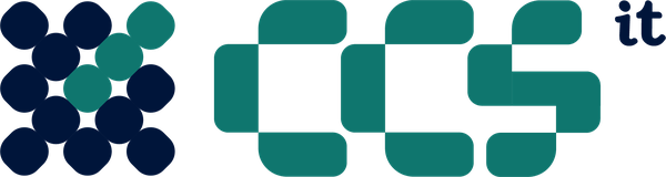 CCSIT — Continuum Consulting Services